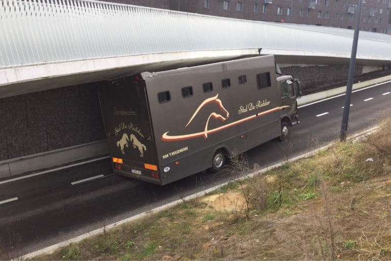 Vrachtwagen met paarden rijdt zich vast onder brug