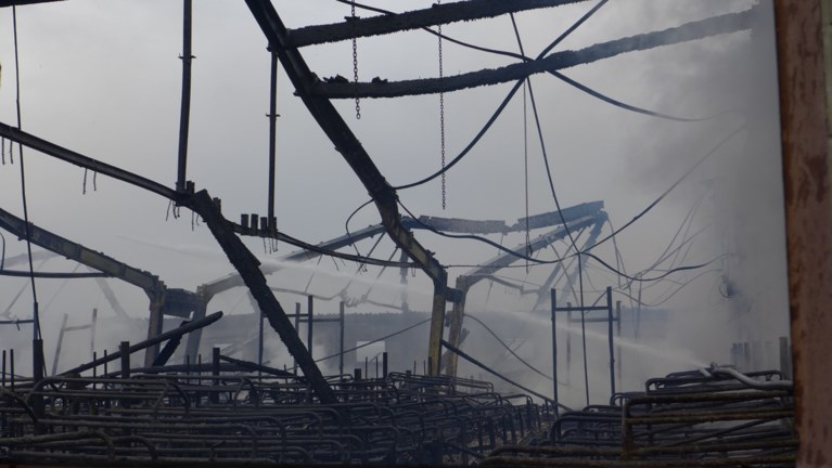 Grote brand in varkensstal in Pittem: meer dan 2.000 biggen overleven het niet
