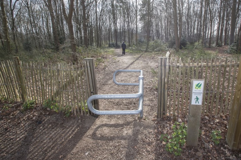 Ziekenhuis stuurt patiënten het bos in: “Je stressniveau zakt vanzelf”