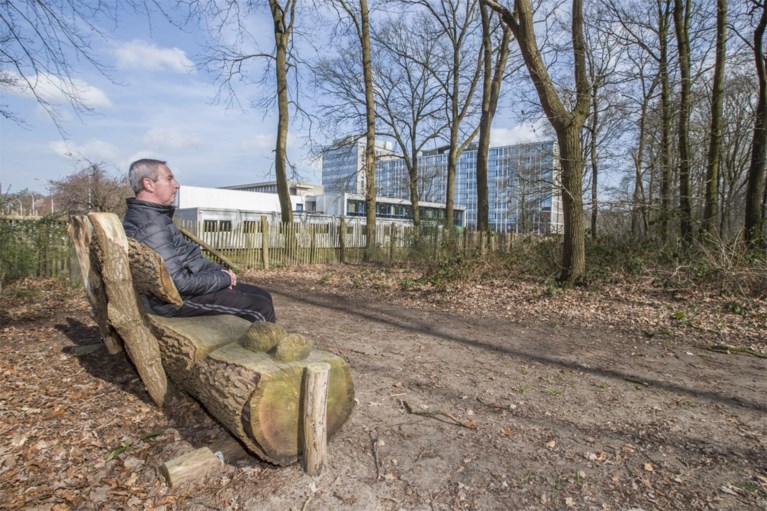 Ziekenhuis stuurt patiënten het bos in: “Je stressniveau zakt vanzelf”