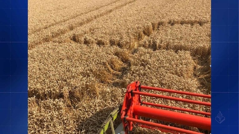 Protest tegen komst windmolenpark loopt totaal uit de hand: aannemer stopt na zware bedreigingen, onbekenden maken met pikdorser groot hakenkruis in graanveld