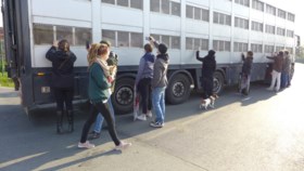 Dierenactivisten nemen afscheid van varkens in Ruiselede