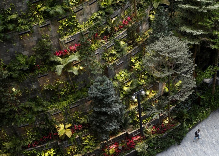 Veel meer dan een luchthaven: hoogste indoorwaterval ter wereld in nieuwe vleugel van Singapore Airport