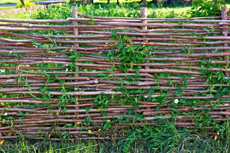 Op Enige Privacy Gesteld In De Tuin Bartel Van Riet Toont D Het Nieuwsblad Mobile
