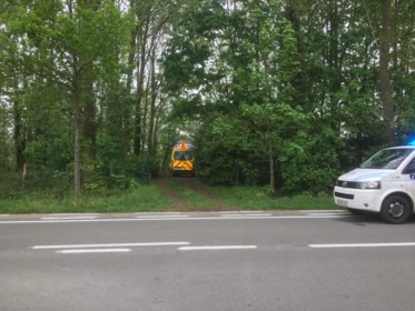 87-jarige visser komt in vijver terecht en overlijdt (Oostkamp) - Het  Nieuwsblad Mobile