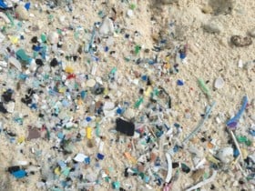 1 miljoen schoenen en 370.000 tandenborstels: kusten van afgelegen Australische archipel bezaaid met plastic