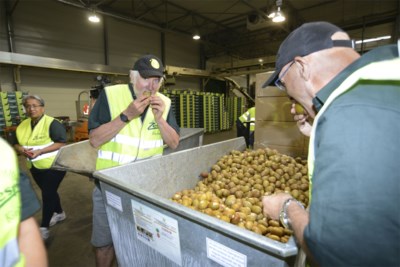 Maori S Volgen Hun Kiwi S Helemaal Tot In Zeebrugge En Ze Brugge Het Nieuwsblad Mobile