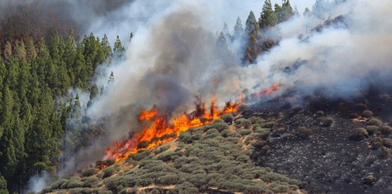Zware bosbrand in bergen van Gran Canaria
