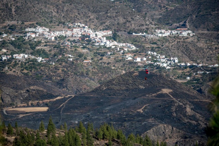 Bosbrand op Gran Canaria “onder controle”