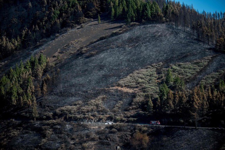 Bosbrand op Gran Canaria “onder controle”