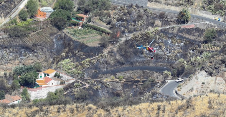 Bosbrand op Gran Canaria “onder controle”
