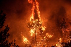 Bosbranden op Griekse eiland zo hevig dat rookpluim zelfs tot in hoofdstad Athene reikt