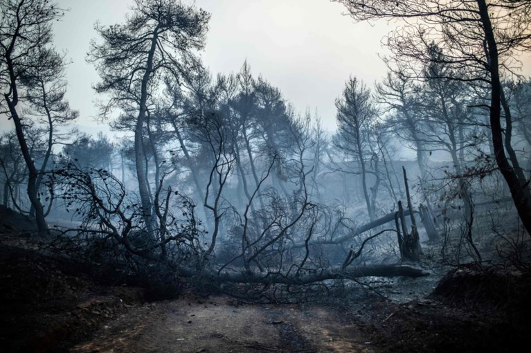 Bosbranden op Griekse eiland zo hevig dat rookpluim zelfs tot in hoofdstad Athene reikt