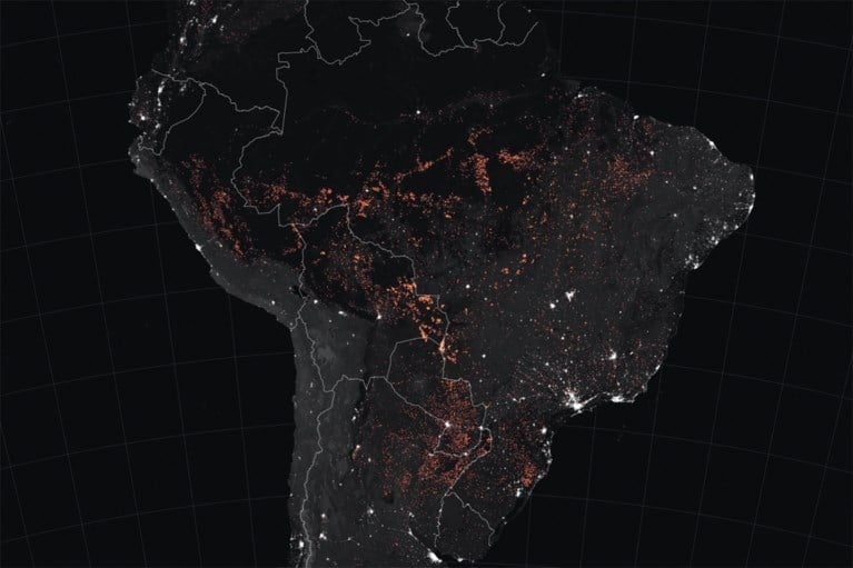 Bosbranden in Amazone erg? In Afrika is het nog veel erger