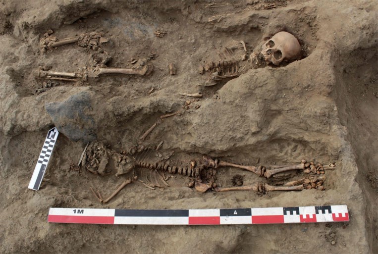 Archeologen vinden in Peru grootste kinderoffer ooit: 227 lichamen van kinderen tussen 4 en 14 jaar opgegraven