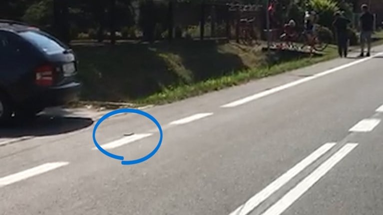 Pools gerecht: reflector op de weg veroorzaakte dodelijke val Bjorg Lambrecht