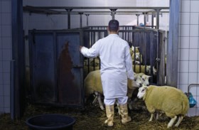 Nieuw op 1 september: opslag voor half miljoen Vlamingen, controles op rookverbod in de wagen, en hogere banktarieven