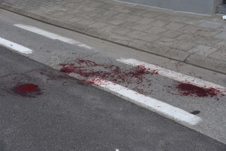Man neergestoken na ruzie om hond: “We wilden de dieren alleen maar aaien”
