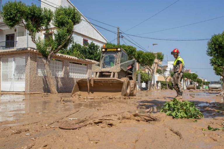 Experts waarschuwen voor onvoorziene gevolgen van hevige overstromingen in Spanje: plaag van tijgermuggen verwacht