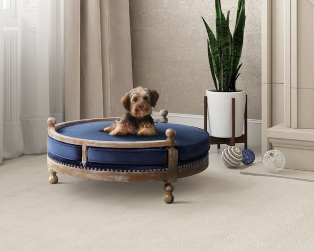 Deze meubels voor huisdieren vloeken niet met je interieur