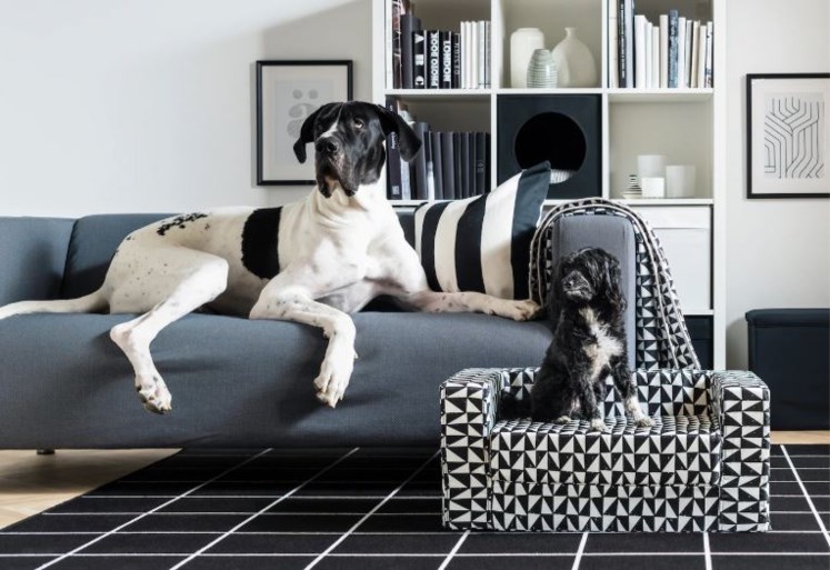 Deze meubels voor huisdieren vloeken niet met je interieur