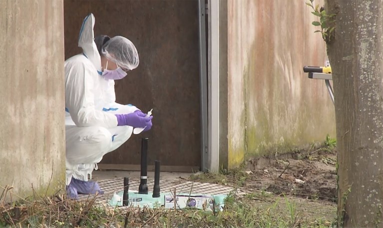 Welke rol spelen moeder (39) en dochter (18) bij verdwijning Johan (56)? Speurders zochten bloedsporen in garage en zetten lijkhonden in
