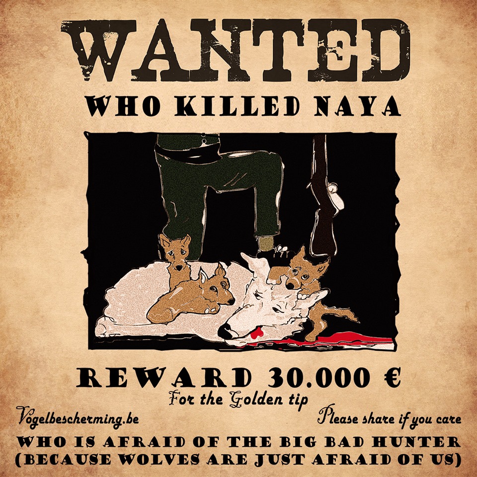 Dit is de opsporingsaffiche om moordenaar van Naya op te sporen