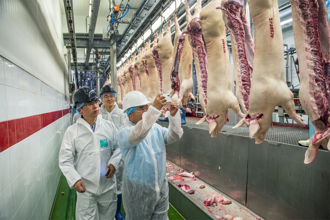 Vlaams slachthuis doet er alles aan om Chinese markt terug te winnen: “Onze varkens zijn wél gezond”