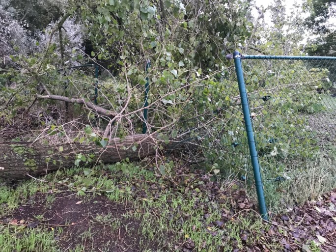 Koksijde en De Panne ruimen alles op na zware lokale storm