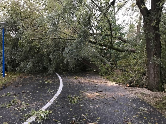 Koksijde en De Panne ruimen alles op na zware lokale storm