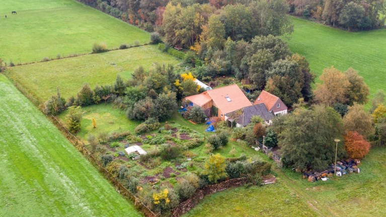 Nederlandse “kelderkinderen” negen jaar lang verwaarloosd: niet vader, maar klusjesman (58) opgepakt