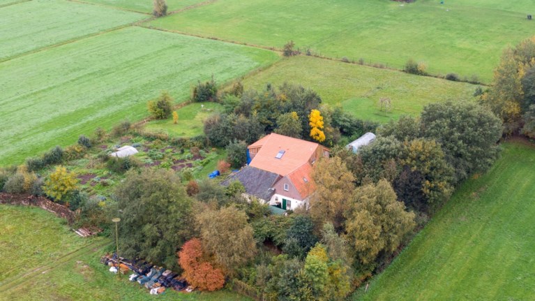 Nederlandse “kelderkinderen” negen jaar lang verwaarloosd: niet vader, maar klusjesman (58) opgepakt