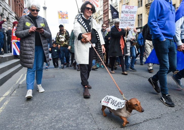 “Miljoen mensen op straat tegen Brexit”
