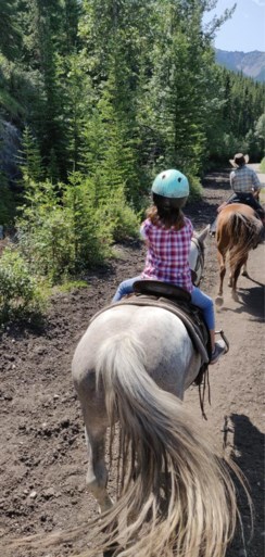 Op ontdekking in West-Canada met de kinderen