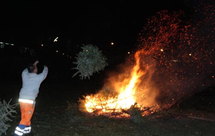 Hier zullen kerstbomen niet meer verbrand worden: “We stoppen ermee uit principe”