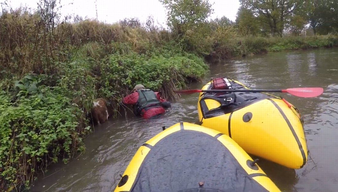 VIDEO. Heldhaftige kajakkers redden kalfje uit rivier (Oud-Heverlee) - Het Nieuwsblad