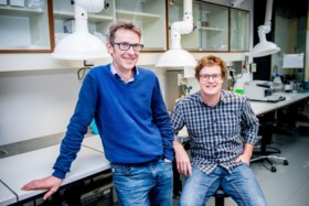 Hitte tijdens zwangerschap zorgt voor biologische veroudering bij pasgeborenen