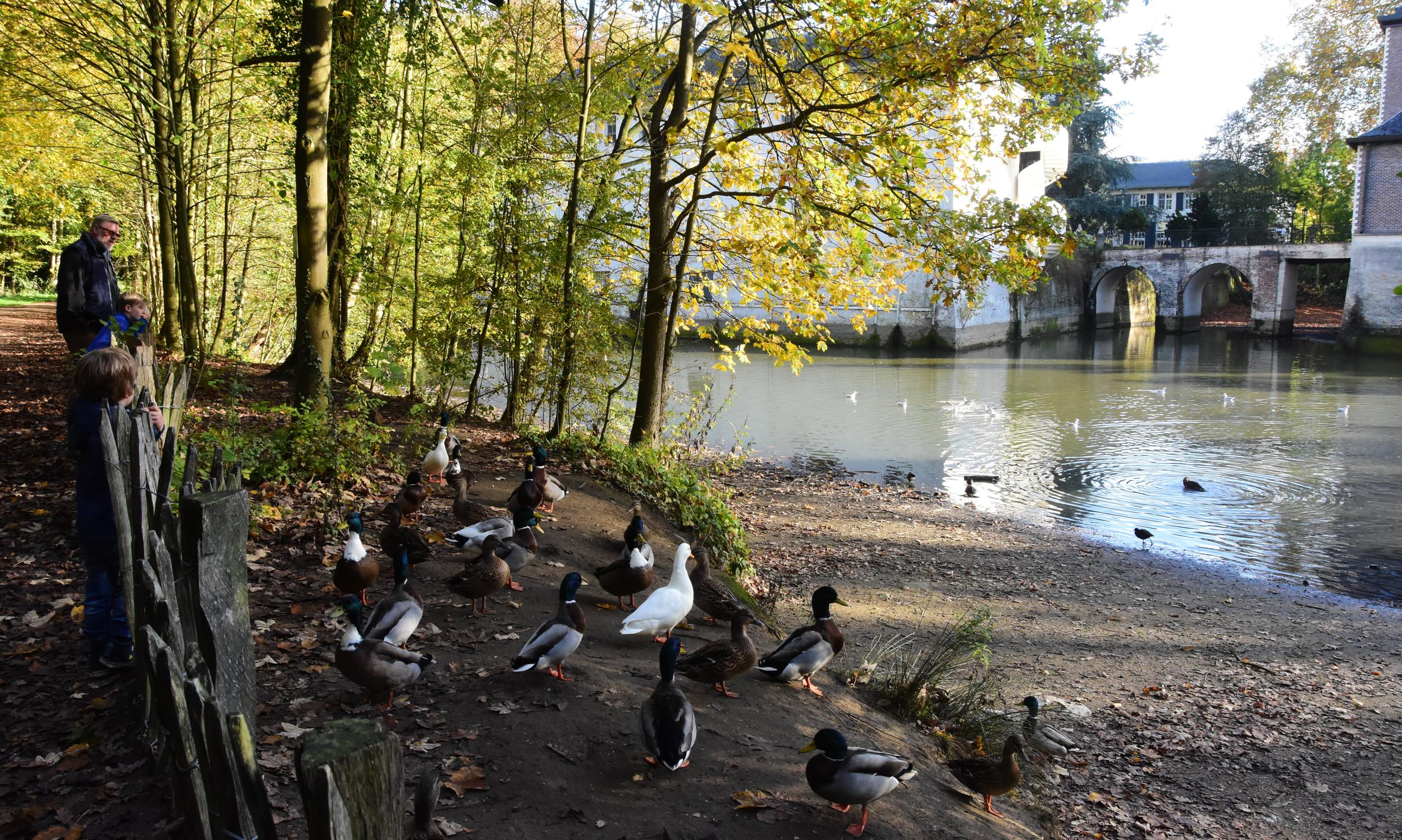 Slotgracht loopt stilaan weer vol (Ranst) - Het Nieuwsblad