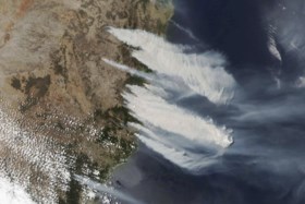 Australië in hoogste staat van paraatheid: zelfs binnenstad van Sydney bedreigd door bosbranden