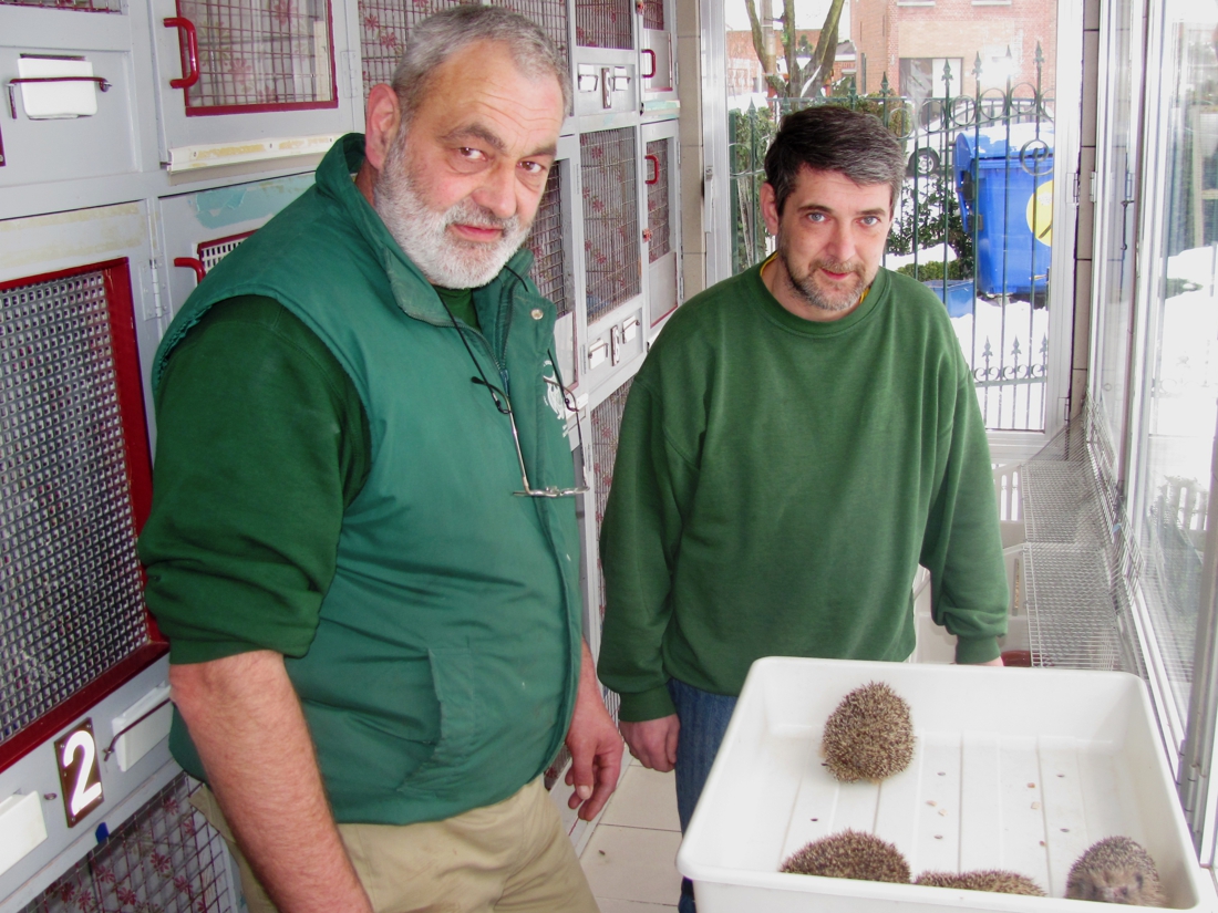 Vogelopvangcentrum zoekt geld om terrein aan te kopen