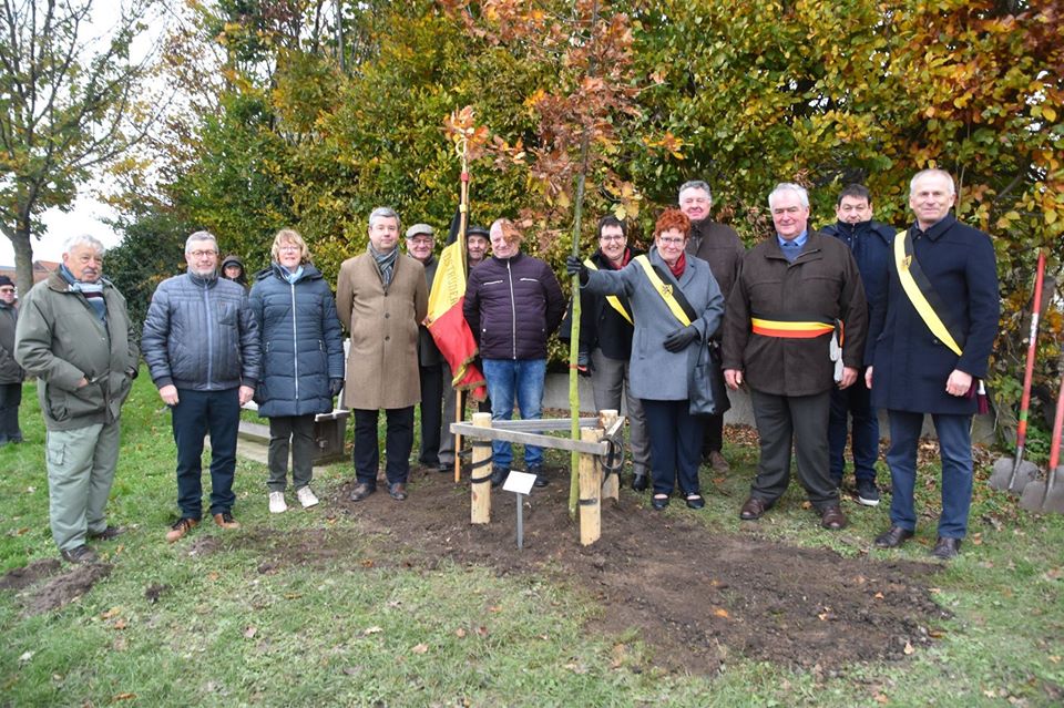 Vredesboom geplant op begraafplaats in Bellingen (Pepingen) - Het Nieuwsblad