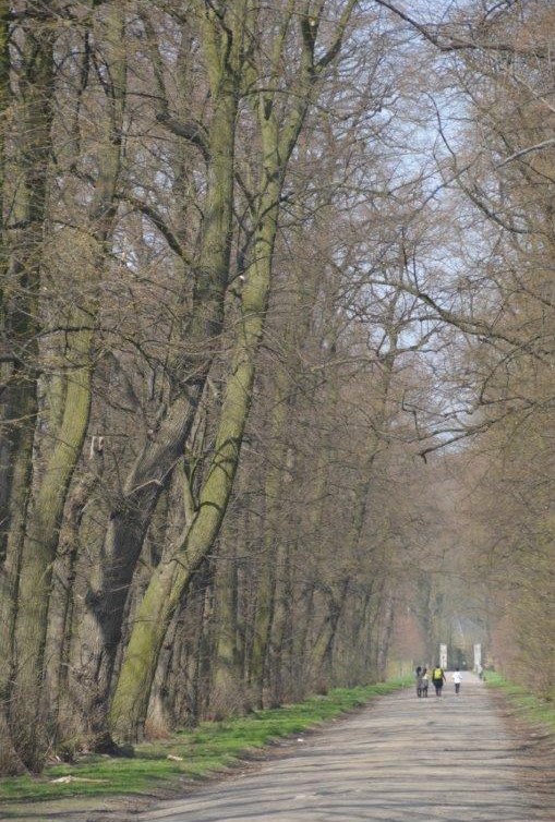 Autovrije Boze Dreef moet Ertbrugge beter beschermen