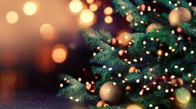 De Kerstboom Omver Lopen Niet Met Het Trucje Van Deze Mama Het Nieuwsblad Mobile