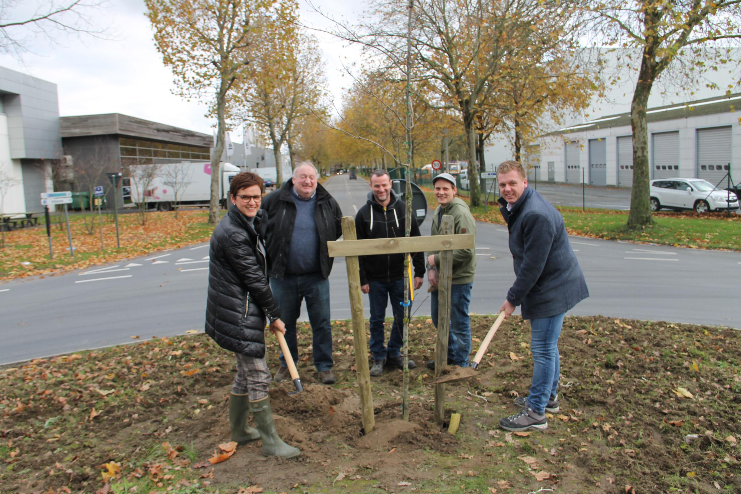Izegem stelt voor het eerst bijbel op voor “meer en beter bos en groen”