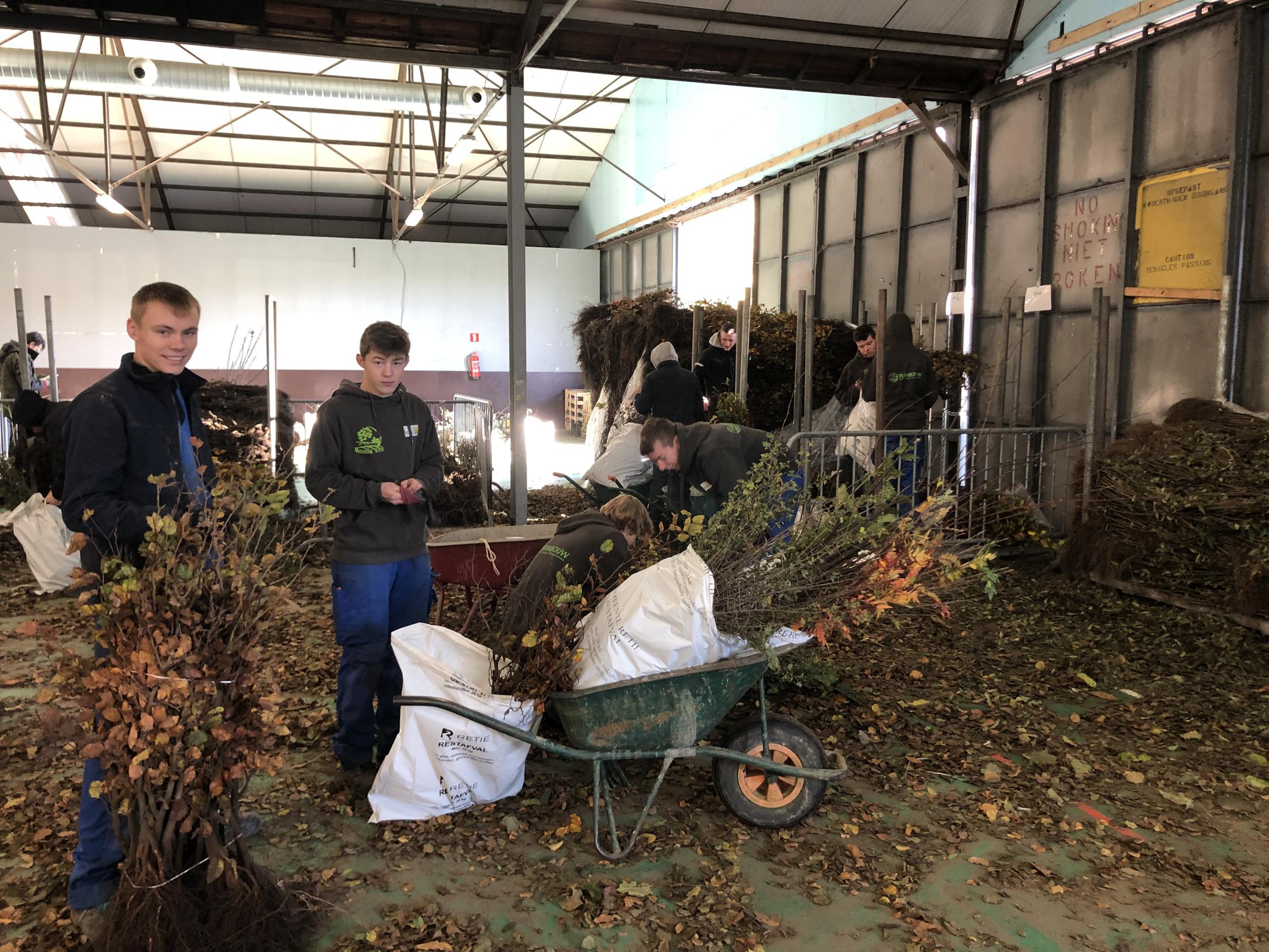 60.000 boompjes en struiken moeten straks de Kempen behagen