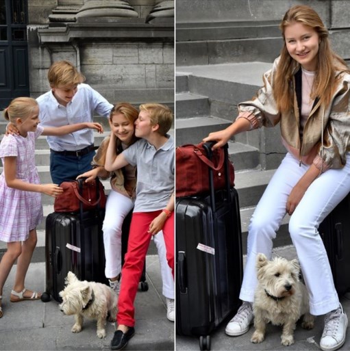 Filip en Mathilde vieren huwelijksjubileum met zijn tweeën (en hun honden)
