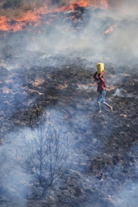 Bosbranden dit jaar goed voor 6.375 megaton CO<sub>2</sub>-uitstoot: “Ongekend”