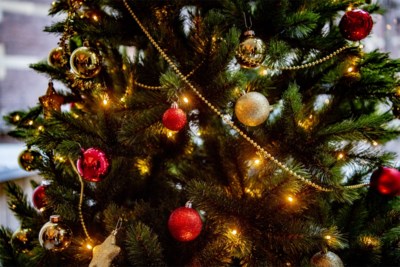 Kerstmis Is Ook Feestdag Voor Inbrekers In Deze Gemeenten V Hasselt Het Nieuwsblad Mobile