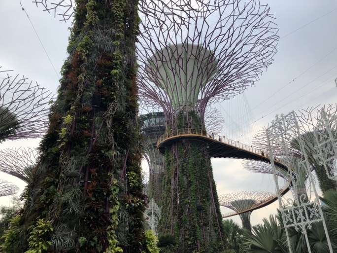 Superieure bomen, nachtleven in de zoo en de beste luchthaven ter wereld: tips voor een reis naar Singapore