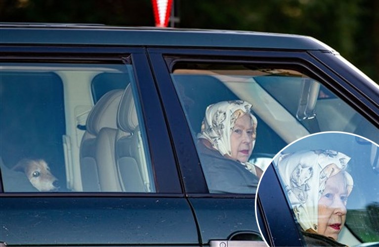 ROYALS. Queen kiest voor schattig accessoire, Zweedse royals tussen de regenbogen